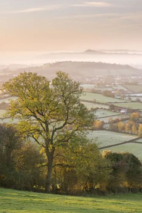 Framed Print : Glastonbury Tor at dawn from the Mendips, Somerset, England Framed Print : Glastonbury Tor at dawn from the Mendips, Somerset, England