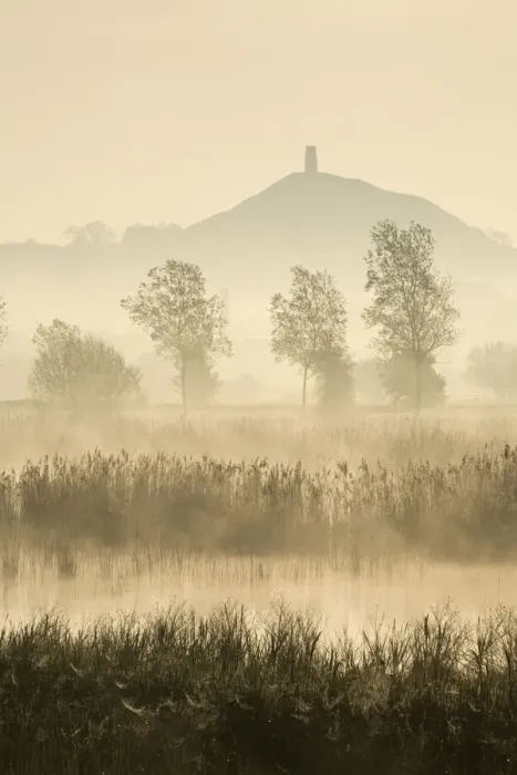 Framed Print : Glastonbury Tor across the Somerset Levels at dawn, Somerset, England Framed Print : Glastonbury Tor across the Somerset Levels at dawn, Somerset, England