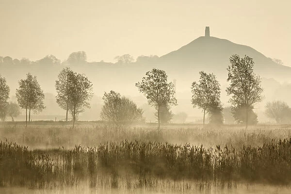 Glastonbury Tor across the Somerset Levels at dawn, Somerset, England