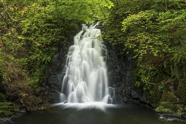 Glenoe Waterfall, Co. Antrim, Northern Ireland