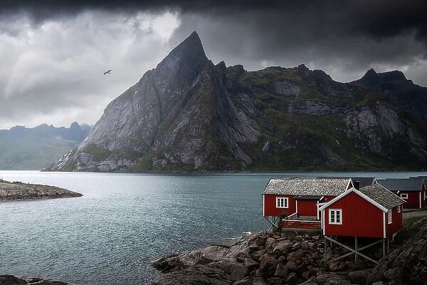 A gloomy afternoon at Hamnoy, with the classic red cabins and the rugged mountains in the background. Lofoten Islands, Norway
