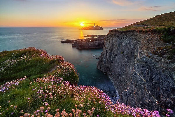 Godrevy lighthouse at sunset with flowers and cliffs, Godrevy island, Cornwall, United Kingdom