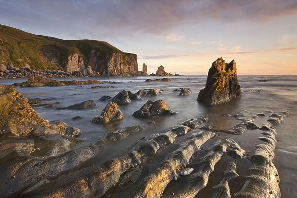 Golden evening sunlight bathes the rocks and ledges at Bantham in the South Hams