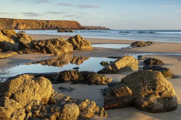 Framed Print : Golden evening sunlight on the beautiful Marloes Sands Beach in Pembrokeshire, Wales Framed Print : Golden evening sunlight on the beautiful Marloes Sands Beach in Pembrokeshire, Wales