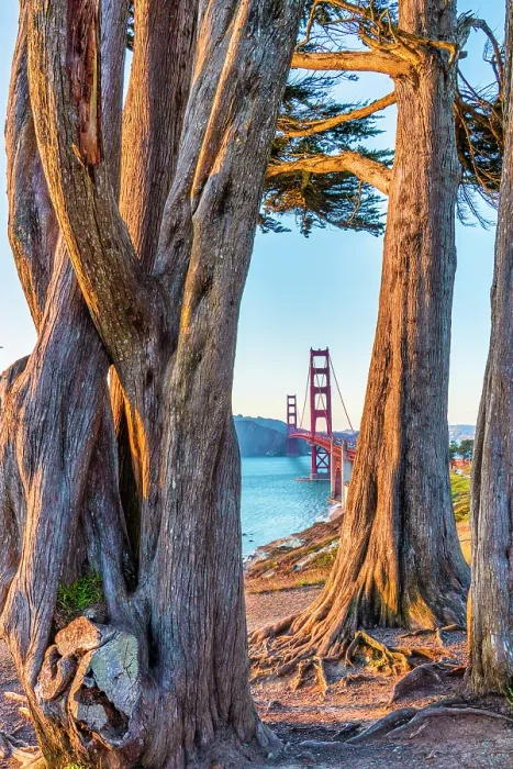 Framed Print : Golden Gate Bridge, San Francisco, California, USA Framed Print : Golden Gate Bridge, San Francisco, California, USA