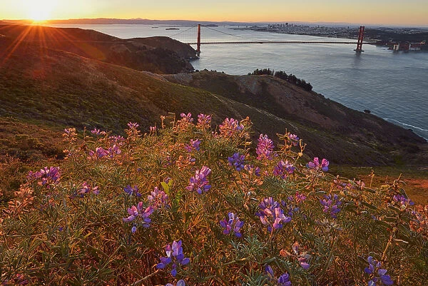 Golden Gate Bridge at sunrise, San Francisco, California, USA