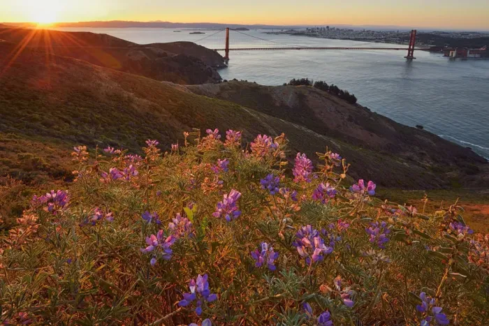Framed Print : Golden Gate Bridge at sunrise, San Francisco, California, USA Framed Print : Golden Gate Bridge at sunrise, San Francisco, California, USA