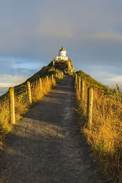Golden light on Nugget Point lighthouse just before sunset. Ahuriri Flat, Clutha district