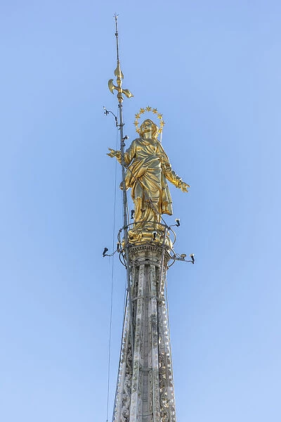 The golden statue called La Madonnina on the top of the Duomo the icon of Milan Lombardy