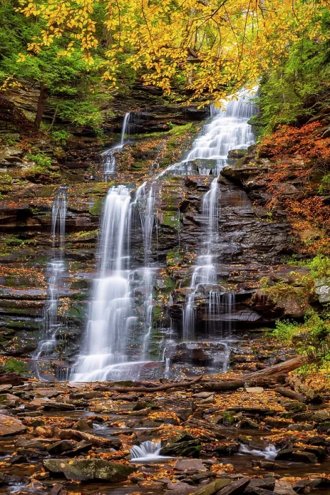 Framed Print : Gonaga Falls in Autumn, Ricketts Glen State Park, Benton, Pennsylvania, USA