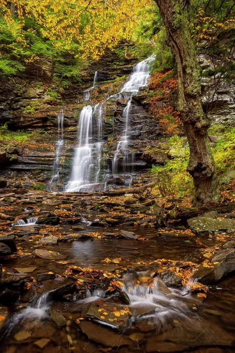 Framed Print : Gonaga Falls in Autumn, Ricketts Glen State Park, Benton, Pennsylvania, USA