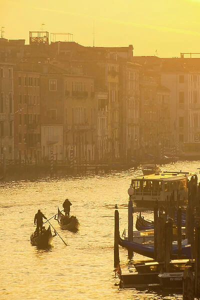 Gondolas on the Grand Canal, Venice, Veneto, Italy