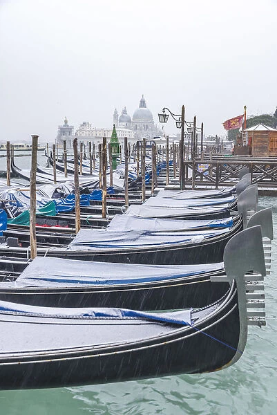 Gondolas with snow at St Marks waterfront, Venice, Veneto, Italy