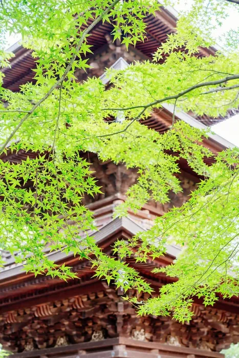 Framed Print : Gotokuji temple near Tokyo, Japan Japan