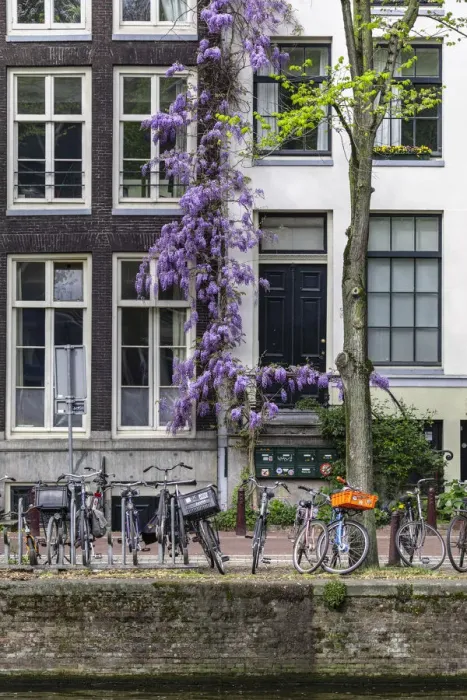 Framed Print : The Grachtengordel area in the Historical center of Amsterdam