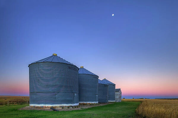Grain bins at dawn with moon near Swift Current Saskatchewan, Canada
