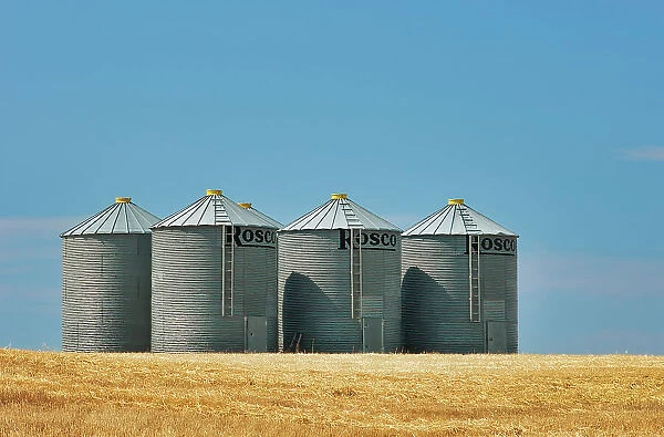 Grain bins and grain crop Pembina Valley, Manitoba, Canada