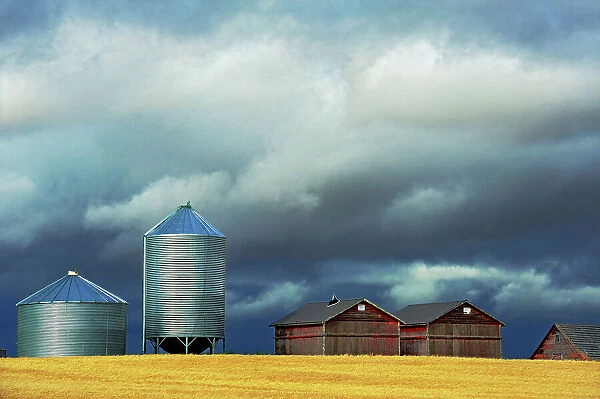 Grain bins Morse, Saskatchewan, Canada