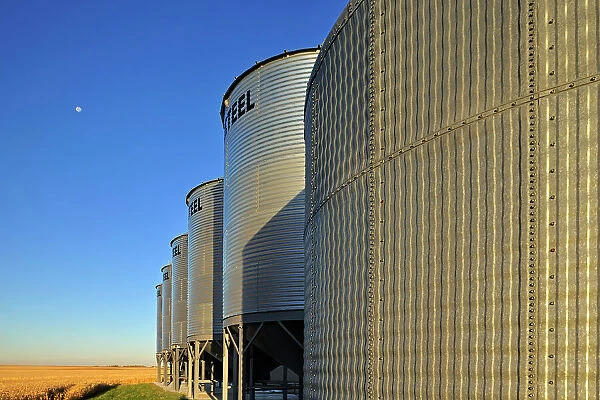 Grain bins. near Swift Current, Saskatchewan, Canada