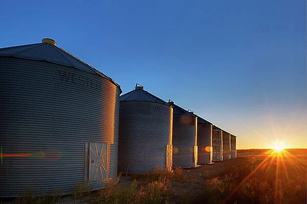 Grain bins at sunrise near Swift Current Saskatchewan, Canada