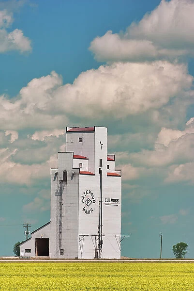 Grain elevator and canola crop Culross, Manitoba, Canada