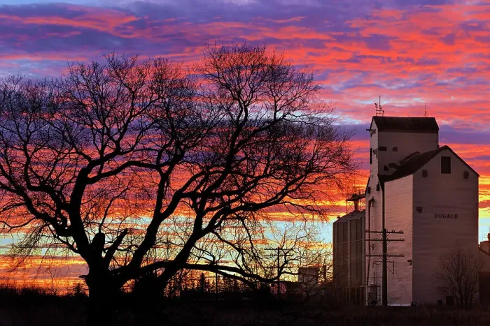 Framed Print : Grain elevator st sunrise Dugald, Manitoba, Canada Framed Print : Grain elevator st sunrise Dugald, Manitoba, Canada