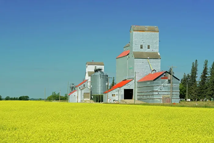 Framed Print : Grain elevators and canola Cypress River, Manitoba, Canada Framed Print : Grain elevators and canola Cypress River, Manitoba, Canada