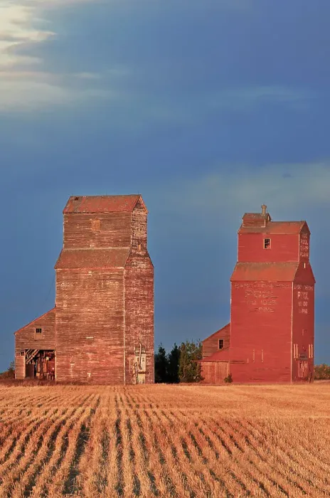 Framed Print : Grain elevators at sunrise Lepine Saskatchewan, Canada Framed Print : Grain elevators at sunrise Lepine Saskatchewan, Canada