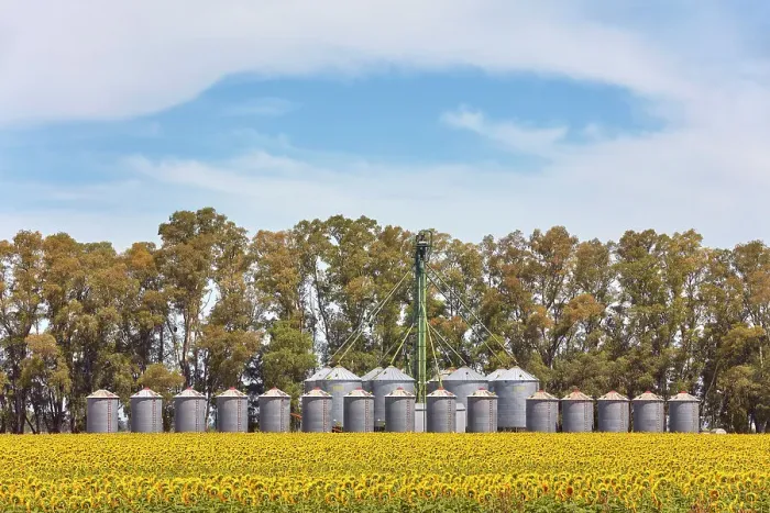 Framed Print : A grain silo storage facility with a field of sunflowers in the Argentine Pampas, near San Miguel del Monte, Buenos Aires province, Argentina Framed Print : A grain silo storage facility with a field of sunflowers in the Argentine Pampas, near San Miguel del Monte, Buenos Aires province, Argentina