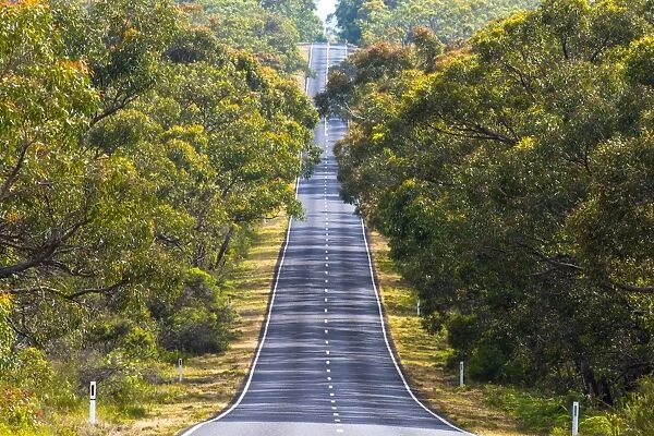 Grampians National Park, Victoria, Australia