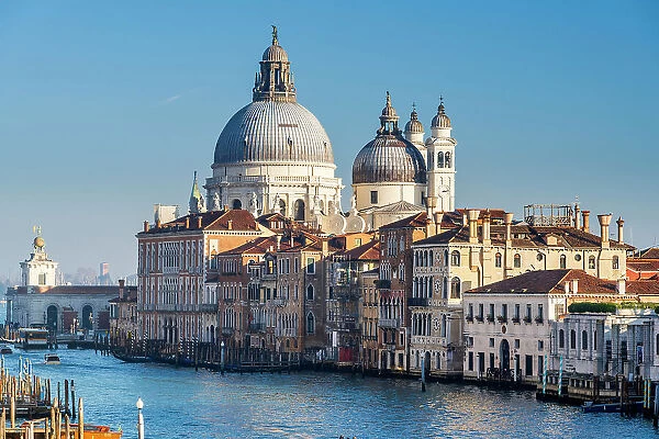 Grand Canal and Santa Maria della Salute Basilica, Venice, Veneto, Italy