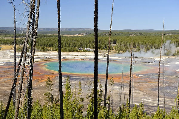 Grand Prismatic Spring (Worlds third Largest Thermal Pool), Yellowstone National