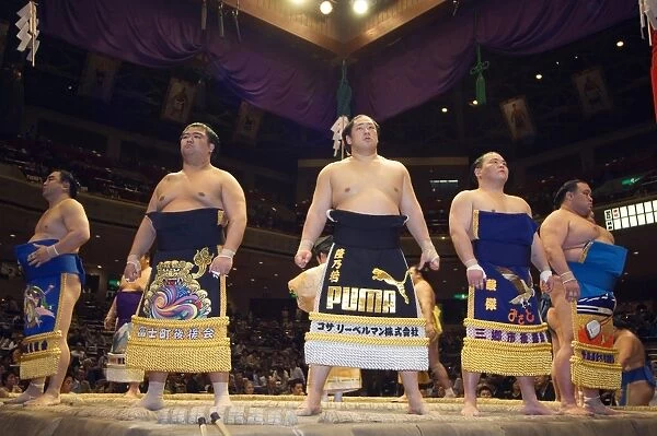 Grand Taikai Sumo Wrestling Tournament Dohyo ring entering
