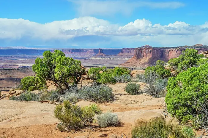 Framed Print : Grand view Point Overlook Trail, Canyonlands National Park, Utah, USA Framed Print : Grand view Point Overlook Trail, Canyonlands National Park, Utah, USA