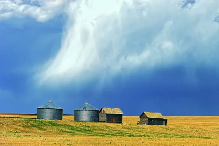 Framed Print : Graneries in storm light East Central Alberta, Alberta, Canada Framed Print : Graneries in storm light East Central Alberta, Alberta, Canada