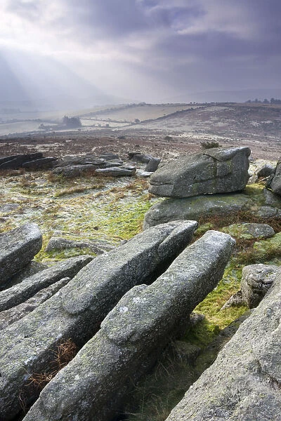 Granite outcrops on Hayne Down, Dartmoor National Park, Devon, England