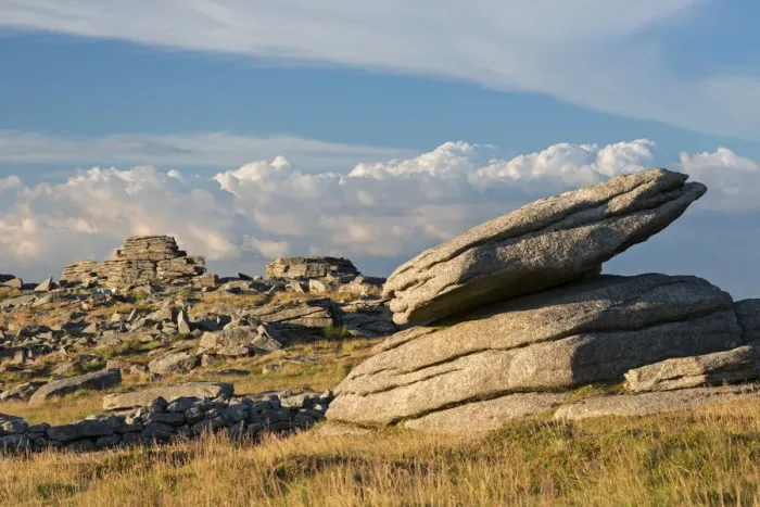 Framed Print : Granite outcrops at Higher Tor in Dartmoor National Park, Devon, England. Summer (July)