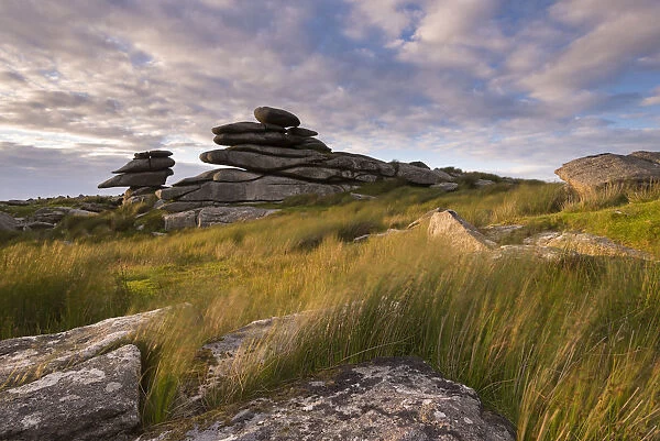 Granite tor on Stowes Hill, Bodmin Moor, Cornwall. Summer (July) 2015