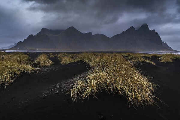 Grass on black sand beach against Vestrahorn mountain range at dusk, Stokksnes, East