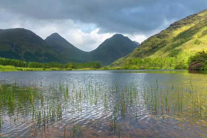 Framed Print : Grass on shore of Lochan Urr, Glencoe, Scottish Highlands, Scotland, UK Framed Print : Grass on shore of Lochan Urr, Glencoe, Scottish Highlands, Scotland, UK