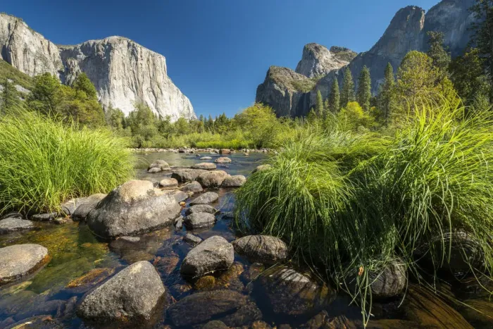 Framed Print : Grasses and rocks in Merced River at Valley View on sunny day, Yosemite National Park Framed Print : Grasses and rocks in Merced River at Valley View on sunny day, Yosemite National Park