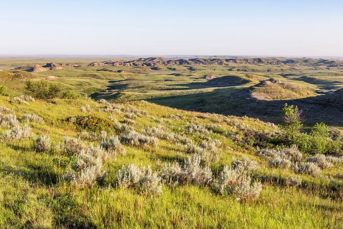 Framed Print : Grasslands National Park East Block, Saskatchewan, Canada, North America Framed Print : Grasslands National Park East Block, Saskatchewan, Canada, North America