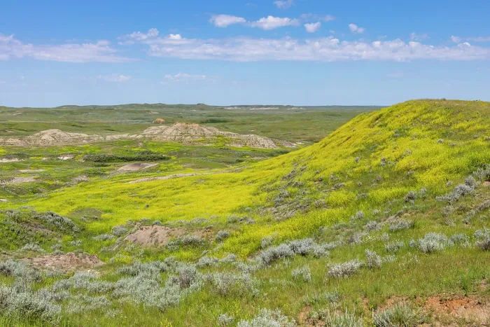 Framed Print : Grasslands National Park East Block, Saskatchewan, Canada, North America Framed Print : Grasslands National Park East Block, Saskatchewan, Canada, North America
