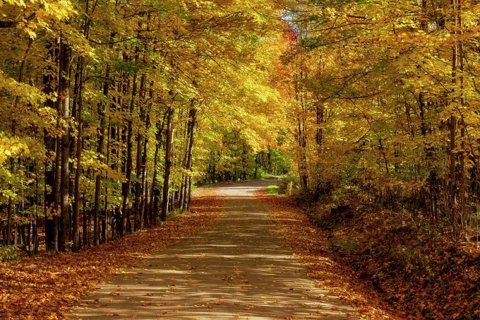Framed Print : Gravel road in autumn, Adirondack Mountains, New York, USA Framed Print : Gravel road in autumn, Adirondack Mountains, New York, USA