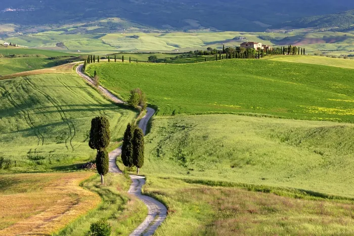 Framed Print : Gravel track leading to Terrapille Farmhouse (featured in Gladiator movie), Val d'Orcia, near Pienza, Tuscany, Italy Framed Print : Gravel track leading to Terrapille Farmhouse (featured in Gladiator movie), Val d'Orcia, near Pienza, Tuscany, Italy