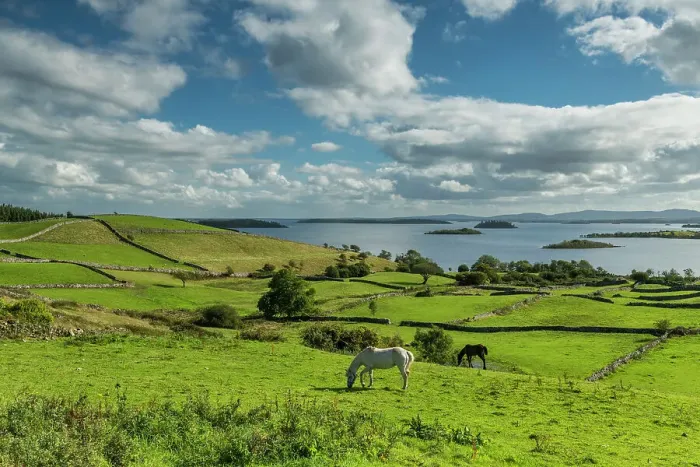 Framed Print : Grazing Horses, Derryfadda, Connemara, Co. Mayo, Ireland Framed Print : Grazing Horses, Derryfadda, Connemara, Co. Mayo, Ireland