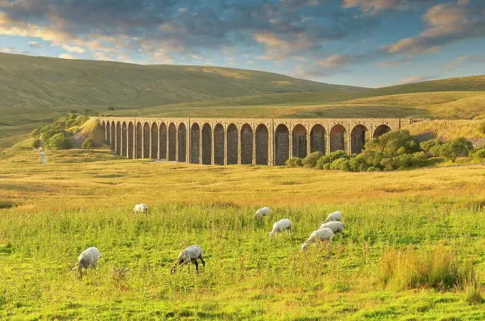 Framed Print : Grazing Sheep & Ribbledale Viaduct, Yorkshire Dales National Park, England