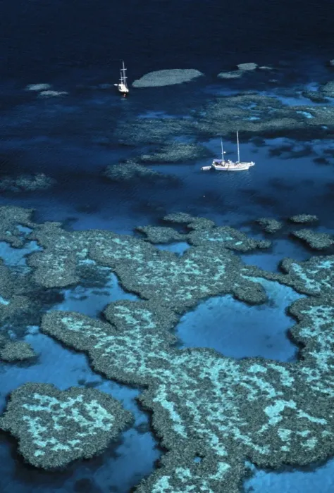 Framed Print : Great barrier Reef
