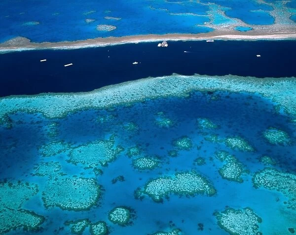 Great Barrier Reef, Whitsundy, Queensland, Australia