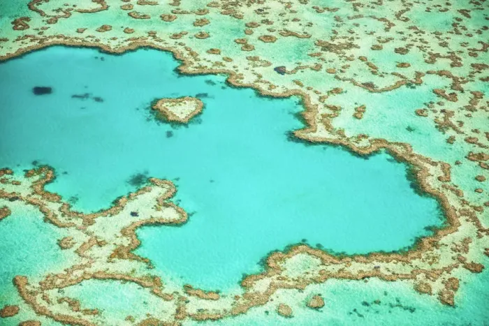 Framed Print : Great Barrier Reef, Queensland, Australia Framed Print : Great Barrier Reef, Queensland, Australia